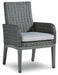 Elite Park Arm Chair With Cushion (2/CN) Royal Furniture