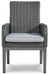 Elite Park Arm Chair With Cushion (2/CN) Royal Furniture