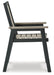 Mount Valley Arm Chair (2/CN) Royal Furniture